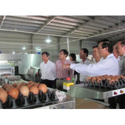 Lắp đặt tổng đài điện thoại CÔNG TY TNHH QL VIETNAM AGRORESOURCES TẠI TP.HỒ CHÍ MINH Lắp đặt tổng đài điện thoại CÔNG TY TNHH QL VIETNAM AGRORESOURCES TẠI TP.HỒ CHÍ MINH